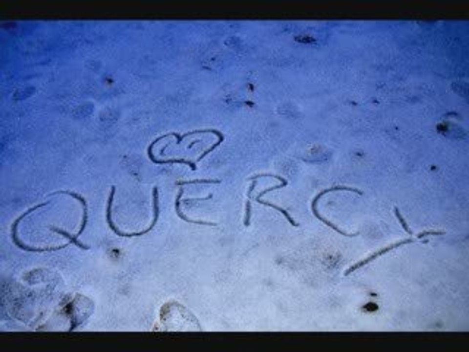 ~~Quercyy~~