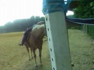 Anne & Lutin, Le cadre vert, Stage hunter, 03/05