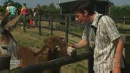 La Maison de l'âne (Beauvoir-Sur-Mer)