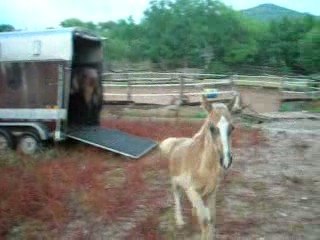 embarquement naïa 2