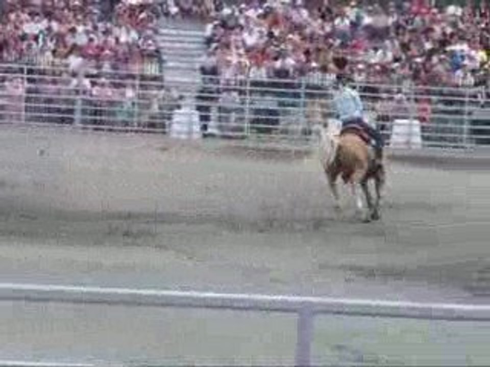 compétitions de Barrel et de Roping