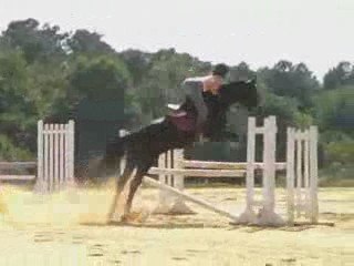 CSO - Anne et Dune