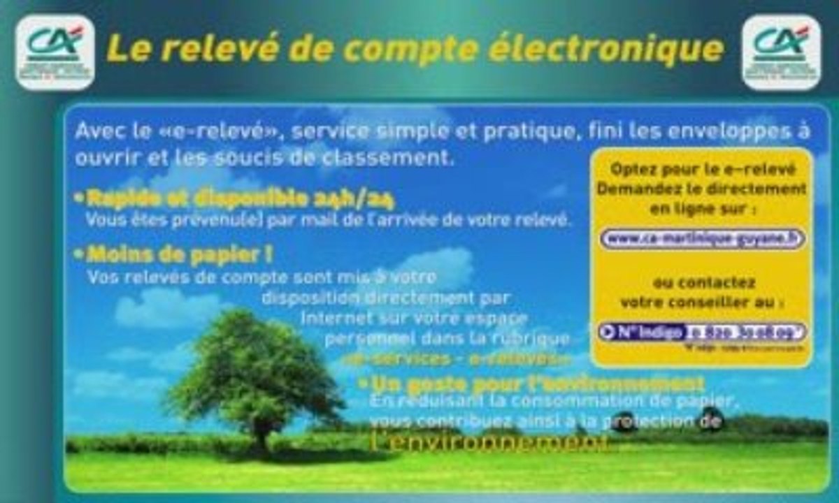Releve de compte Electronique