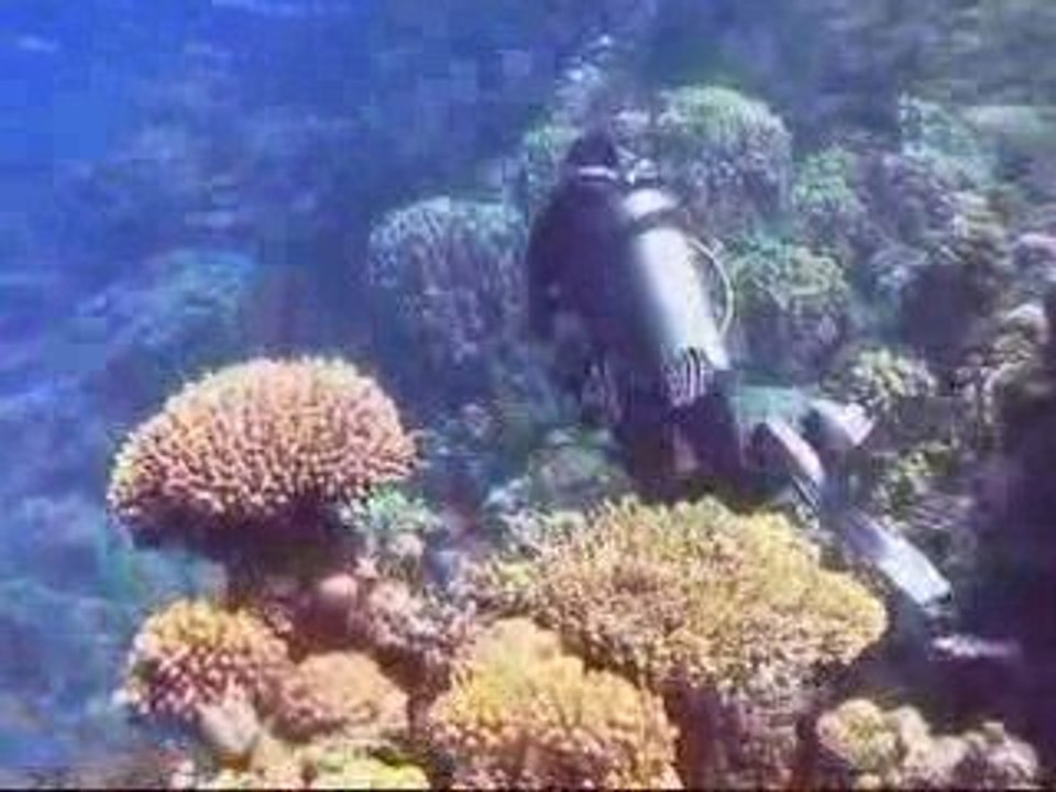 Музыка мира безмолвия..