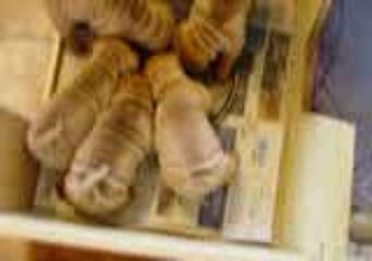 bouillie aux fleurs de geisha