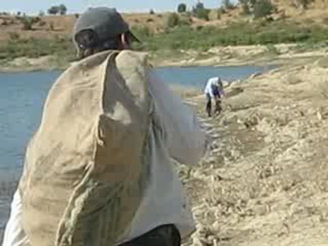 Manisa (Demir köprü barajı)