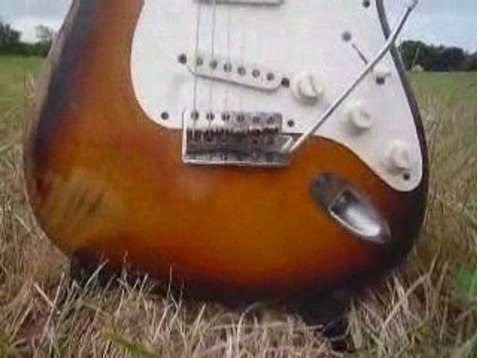 Lady Rose & Miss Daisy : 2 1954 Stratocasters ! (JP Danel's