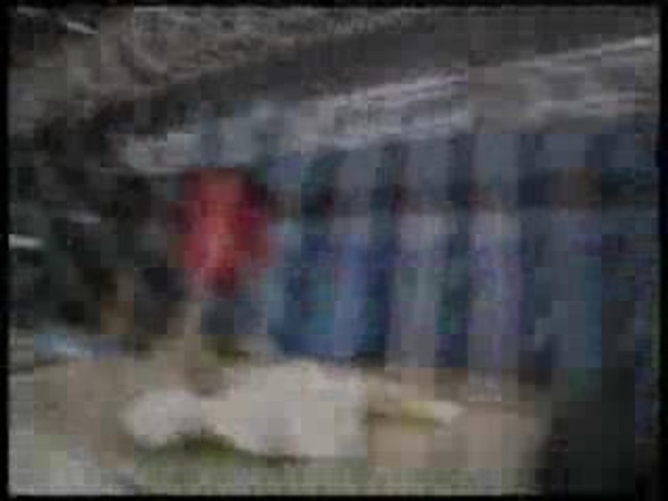 PARANORMAL ATTACK-GO ON