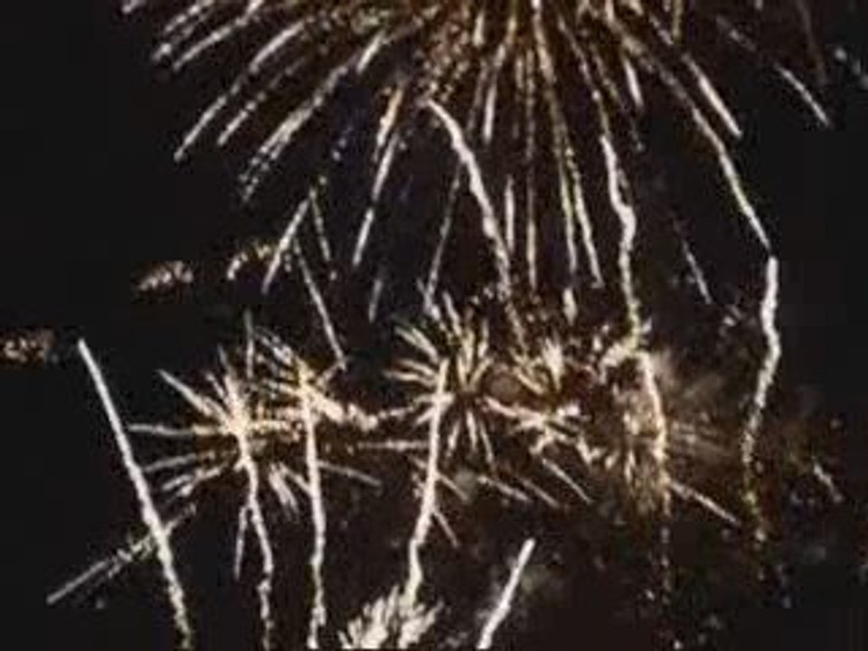 Feu d'Artifice de la Fête de L'Europe 2009 à Amilly ( 45 )