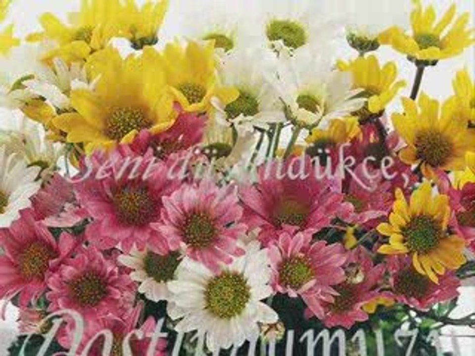 NİCE MUTLU YILLARA FUNDA