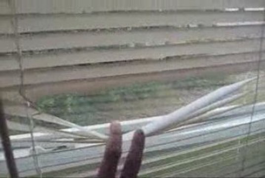 2242 Wood Ct, Deltona, Florida