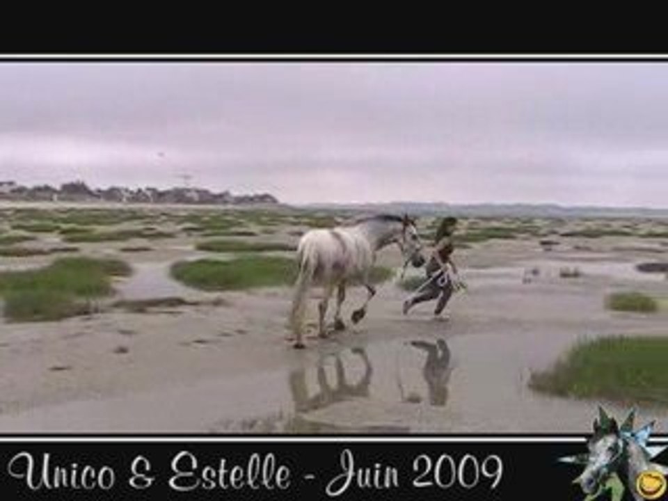 Unico à la plage pour la 1ère fois - Juin 2009