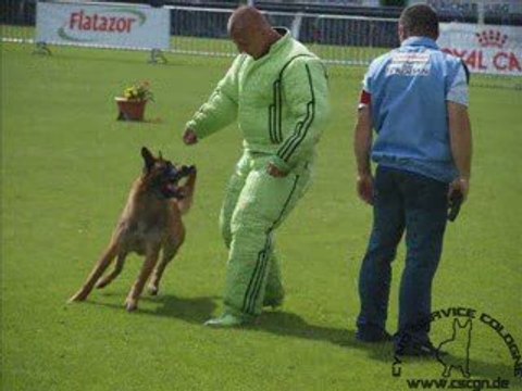 Us'Ton du calvaire aux acacias championnat de France en ring