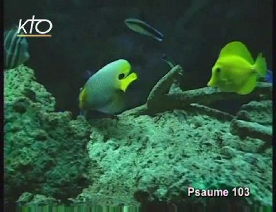 Psaume 103 C