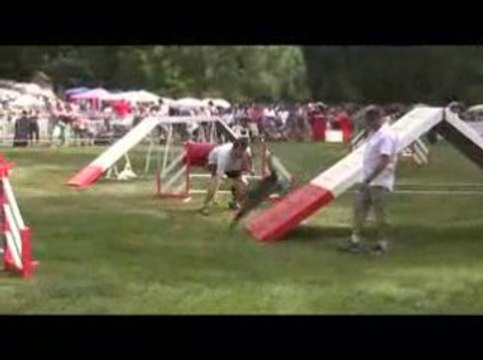 GPF Agility 2009 Blueberry M3