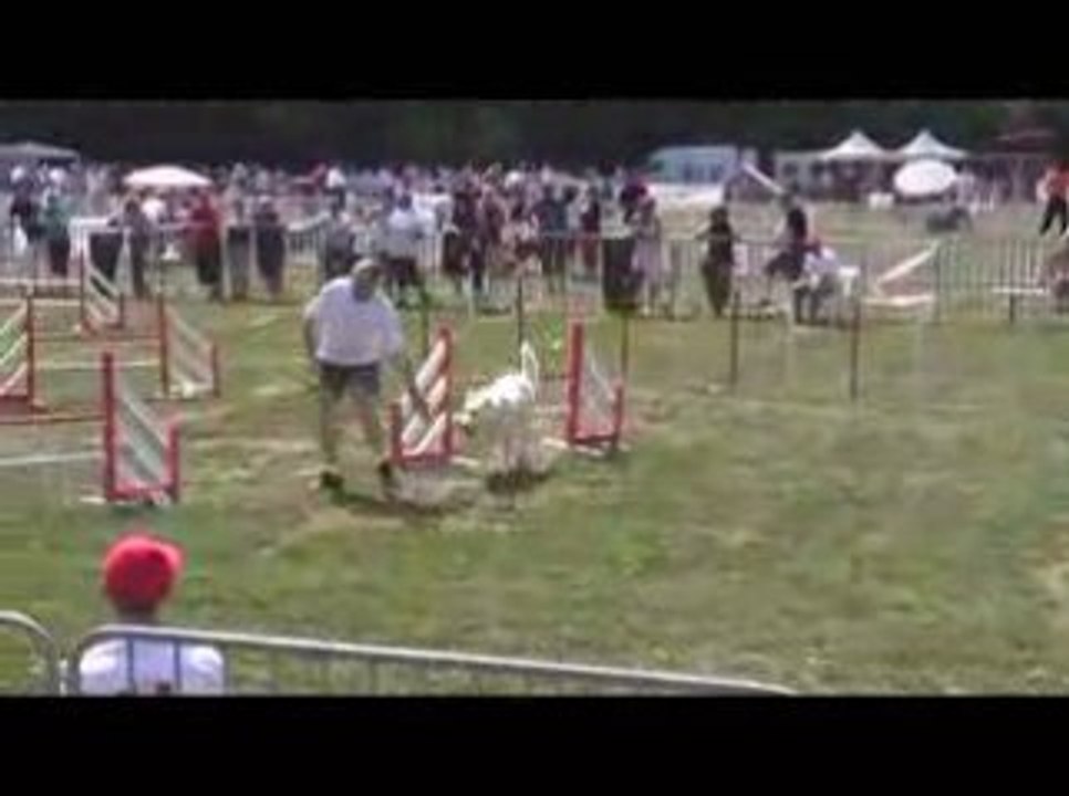 GPF Agility 2009 Thao M1