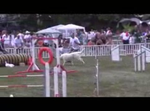 GPF Agility 2009 Thao M2