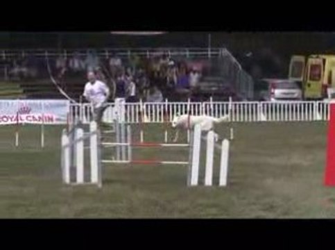 GPF Agility 2009 Thao M4