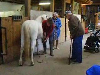 Le cheval devance l'Araire