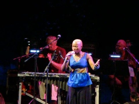Nina Simone Tribute - See line woman (Angelique Kidjo)