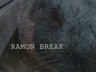 Les Aventures De Ramon - S01E06 - Ramon Break