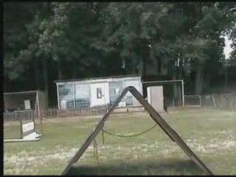 daicko du Bois de Liers.Entrainement obé 15 mois