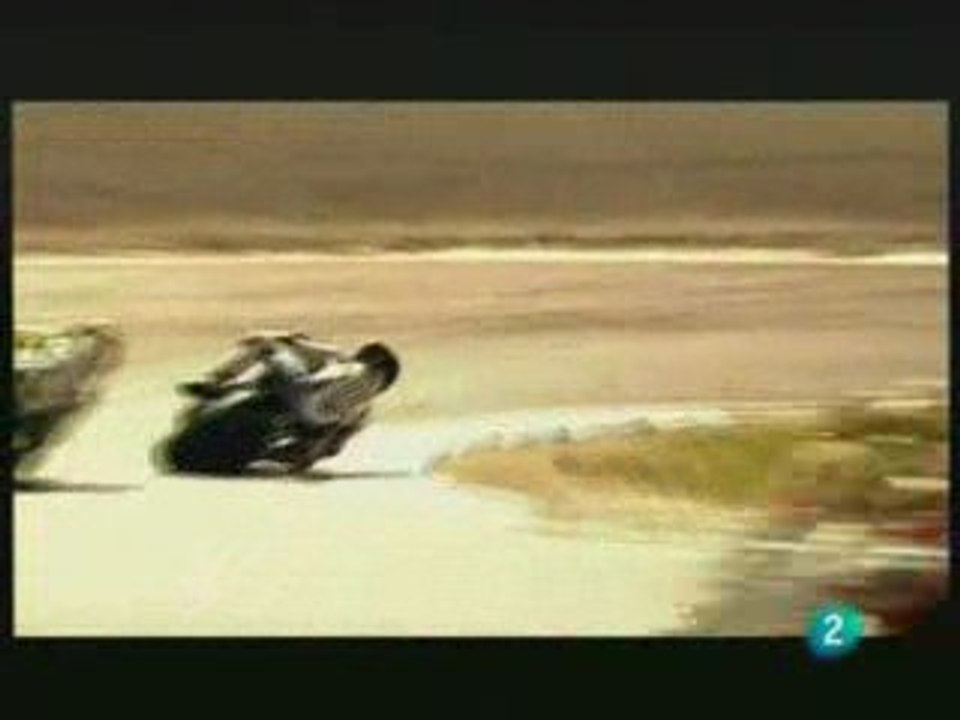 Top 5 Japon 2009