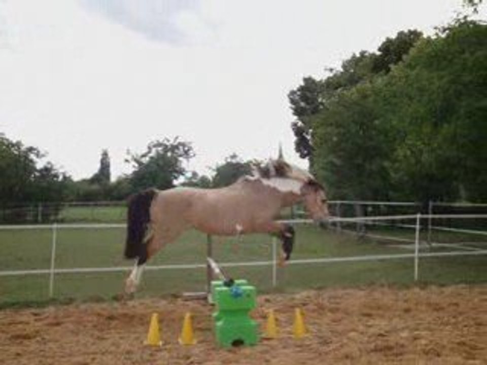 6 juillet 2009