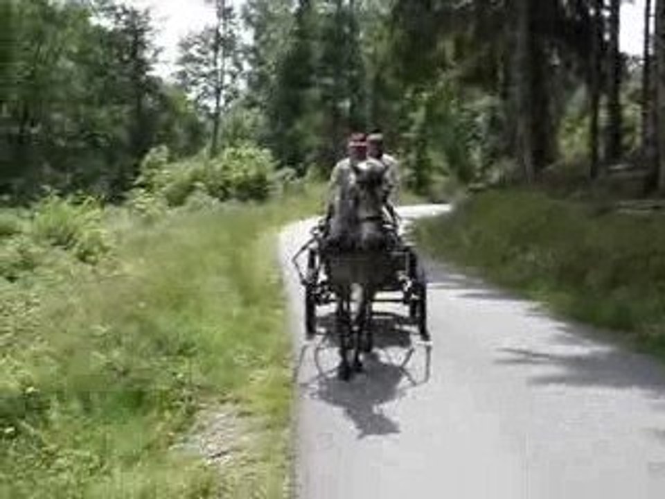 Attelage