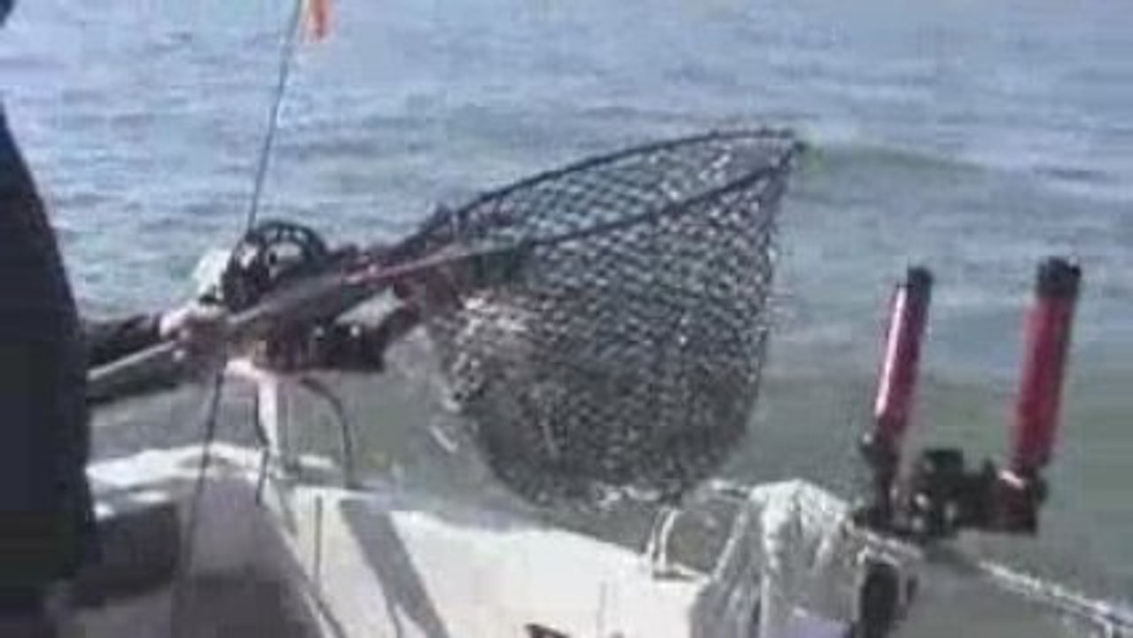 Lake Erie Walleye Fishing