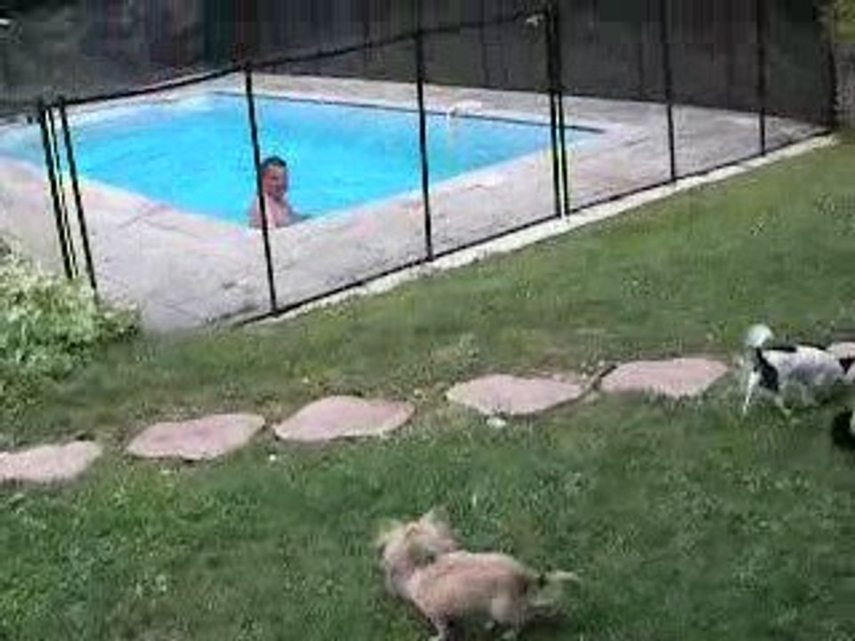 dans le jardin