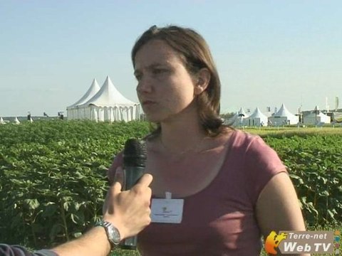 Agriculture bio : Renan principale variété de blé utilisée