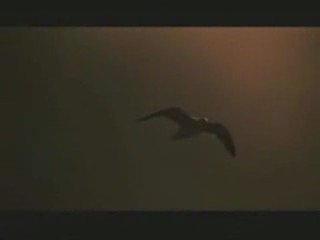 DIAMONDS IN YOUR EARS