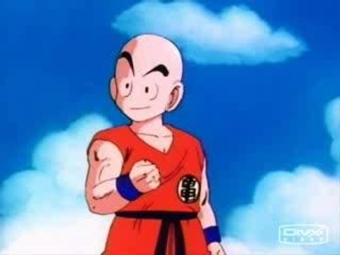 la vie de goku et ses amis