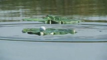 Tiger Woods PGA Tour 10