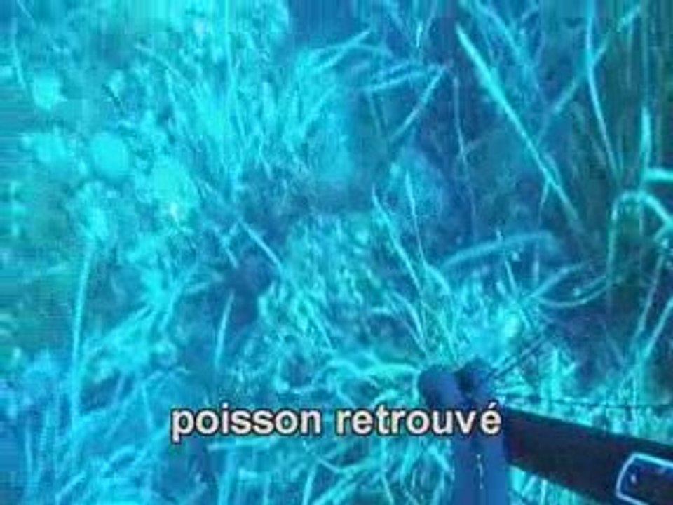 chasse sous marine en méditerranée N°19 Team Cressi Sub