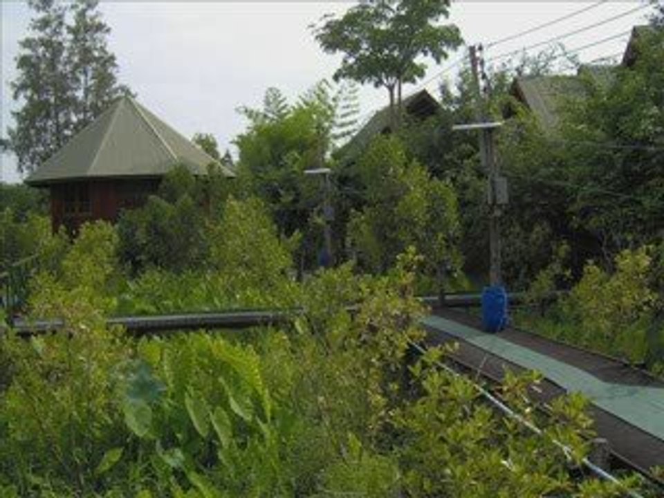 auch das ist thailand