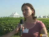 Agriculture bio blé : 2 débouchés fourragés et panification