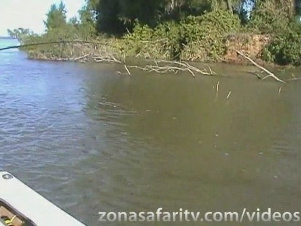 Pesca en Bella Vista con “El Pájaro” #3