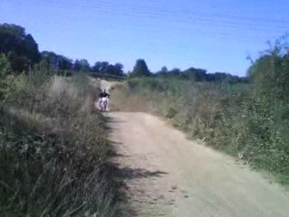 250 cr a rerete