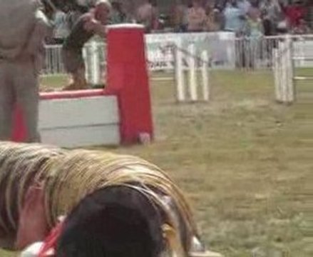 cibeins 09 apple jump