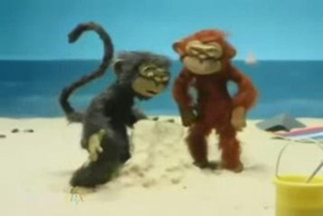 Une animation de 2 singe a la plage trop fort!