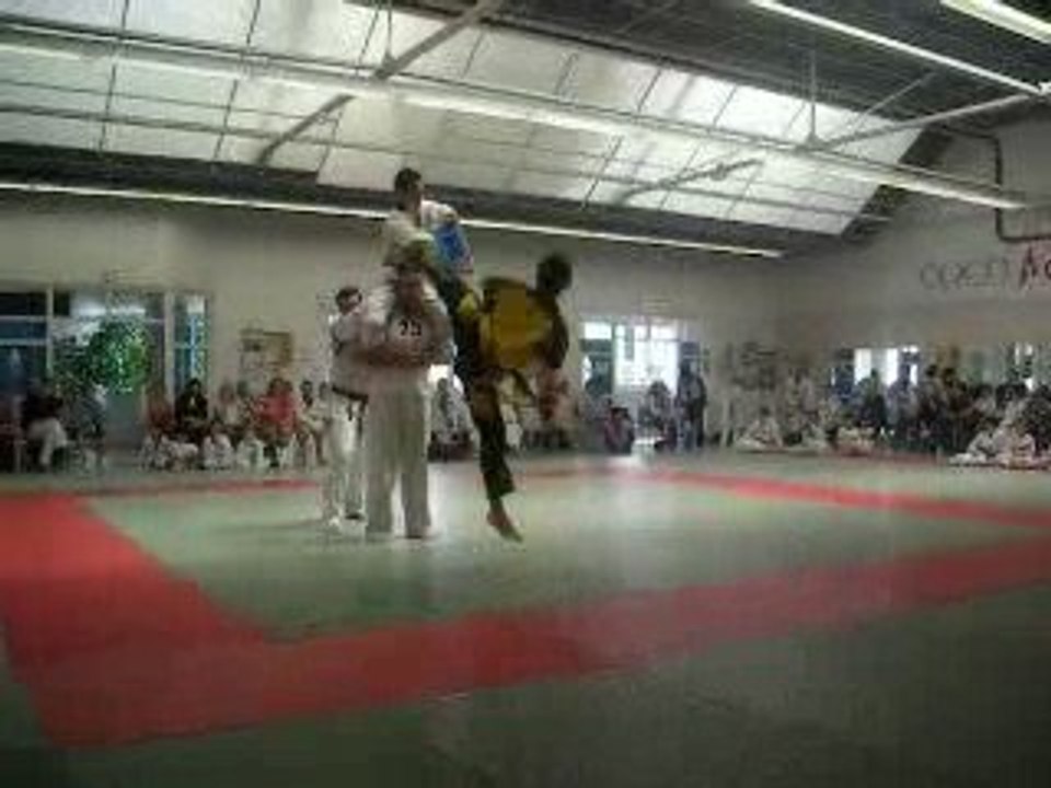 taekwondo 540° 2009