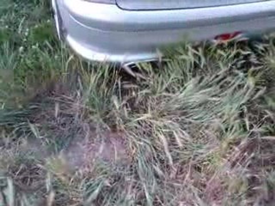 Rc + ligne oreca GrN