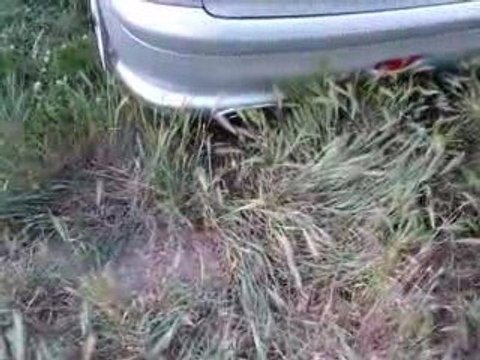 Rc + ligne oreca GrN