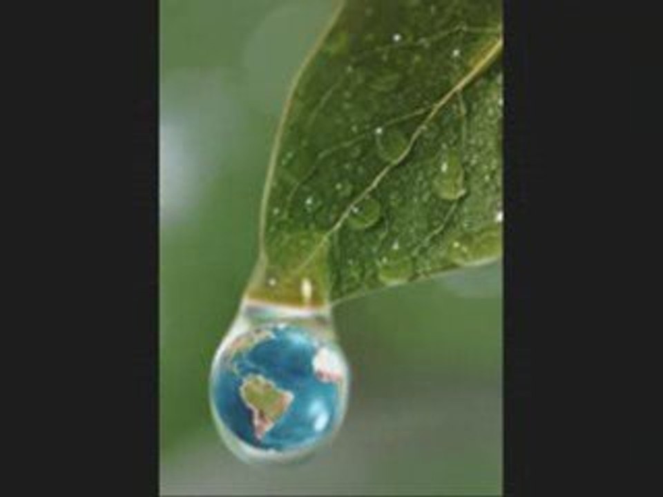 Pollution