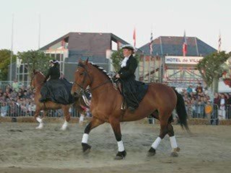 landivisiau 2009