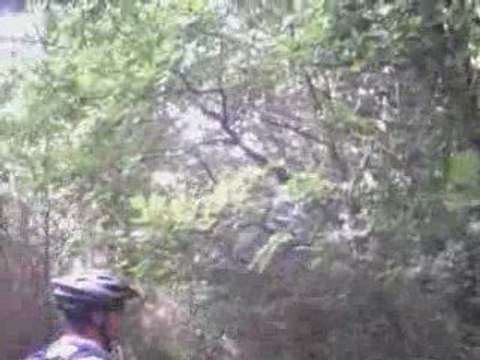 Rando/Raid VTT de Smarves (3°