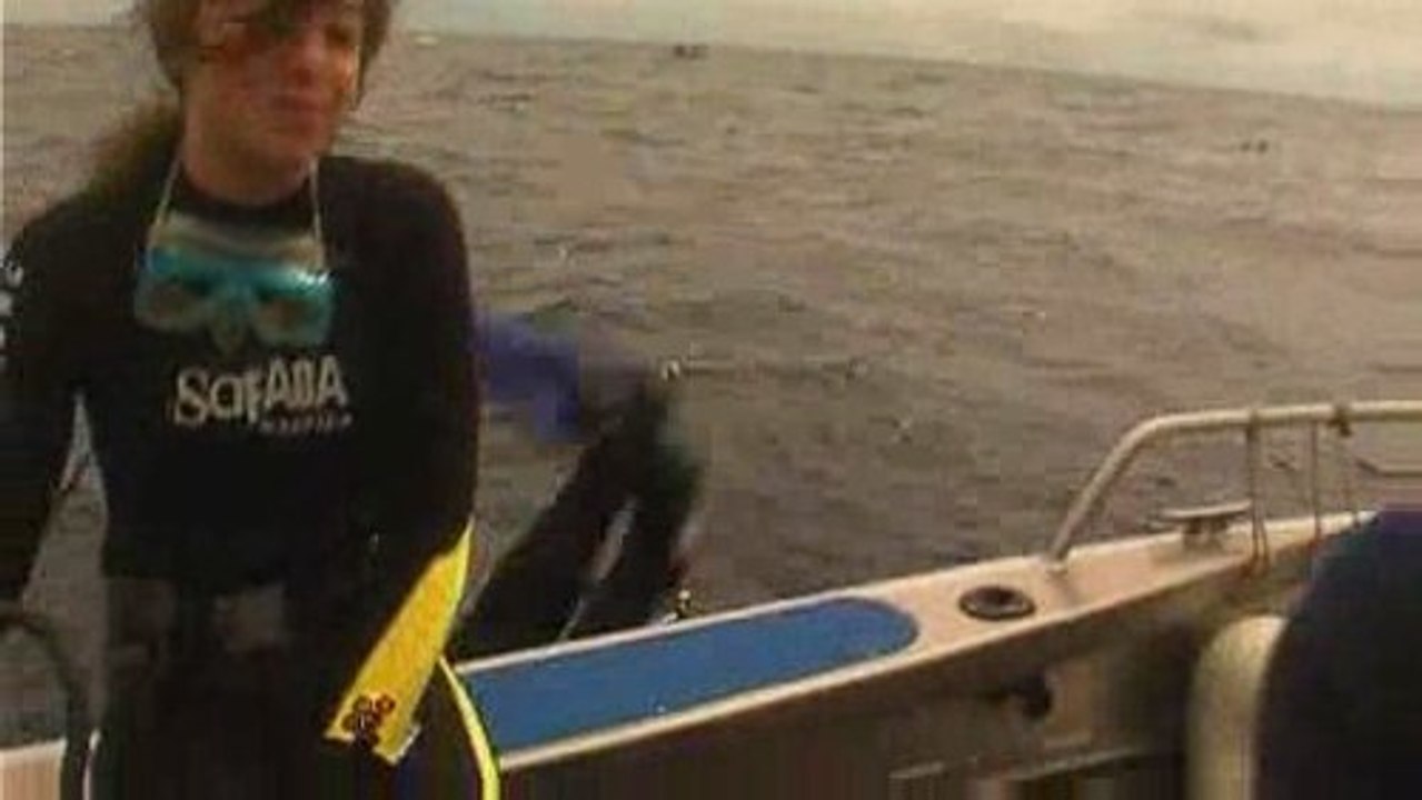 Activités d'Eté : La plongée sous-marine