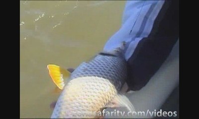 Pesca en Bella Vista con “El Pájaro” #8